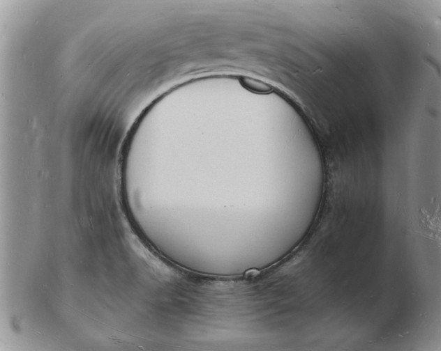 X0000103291518200809121956