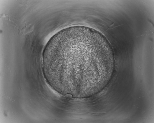 X0000103291519200809121956