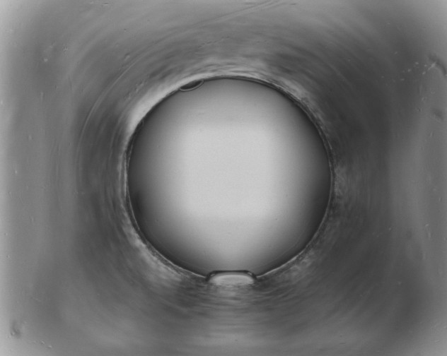 X0000103291520200809121956