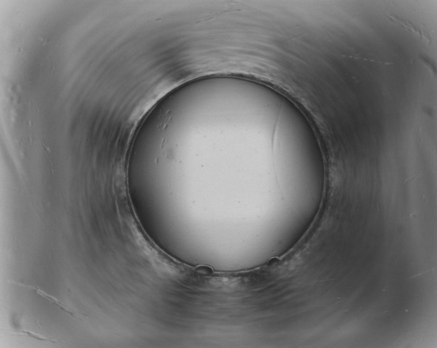 X0000103291521200809121956