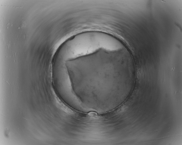 X0000103291522200809121956