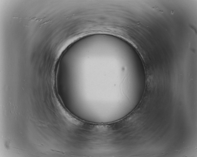 X0000103291523200809121956