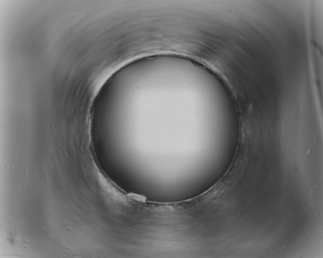 X0000103291524200809121956