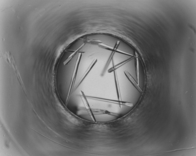 X0000103291525200809121956