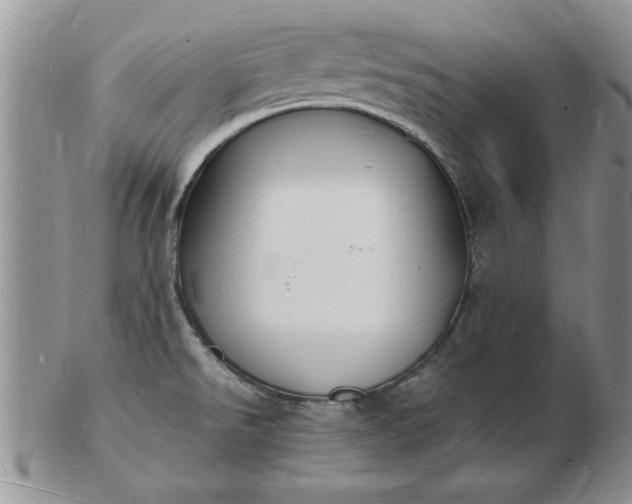 X0000103291526200809121956