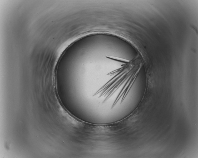 X0000103291527200809121956