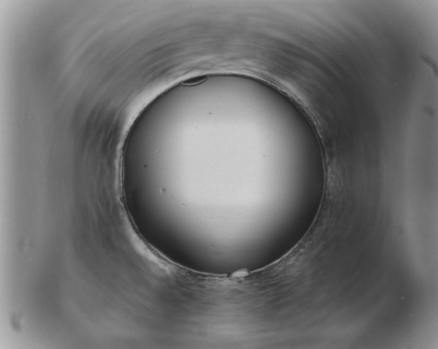 X0000103291528200809121956