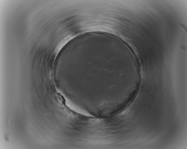 X0000103291529200809121956