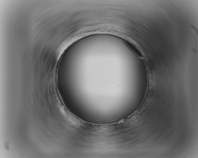 X0000103291530200809121956