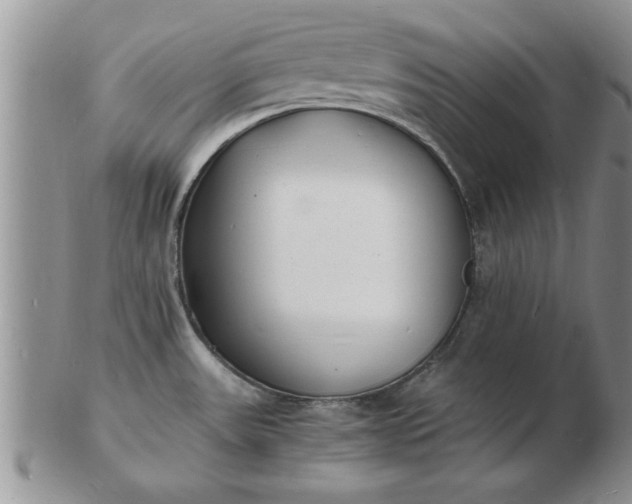 X0000103291531200809121956