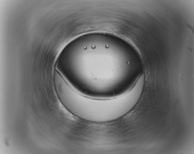 X0000103291532200809121956