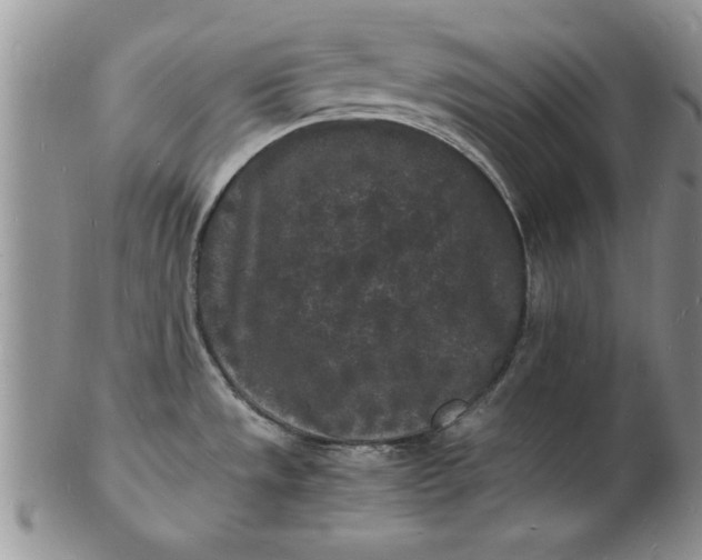 X0000103291533200809121956