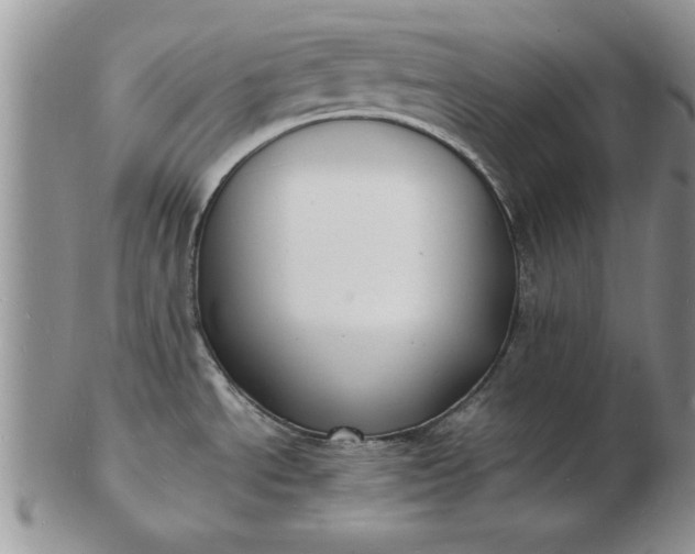 X0000103291534200809121956