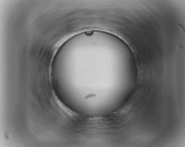 X0000103291535200809121956