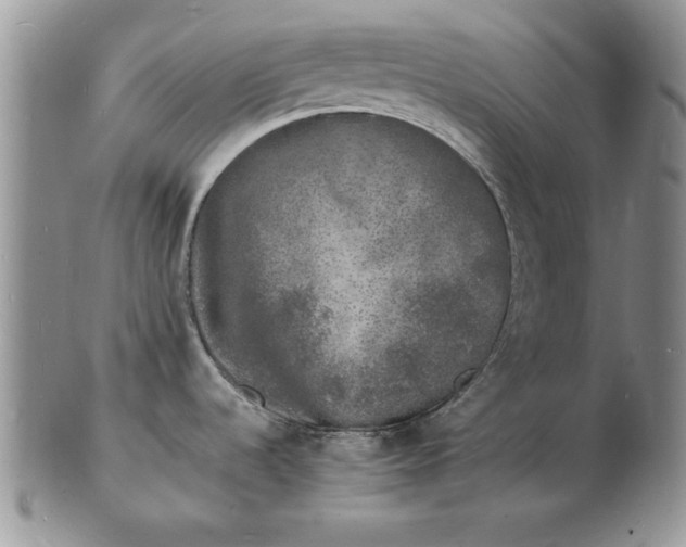 X0000103291536200809121956