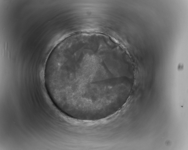 X0000103290002200809191841