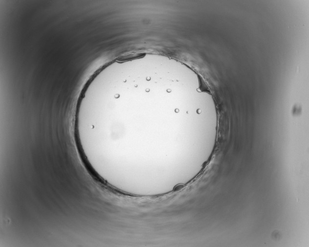 X0000103290003200809191841