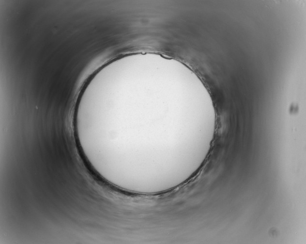 X0000103290004200809191841