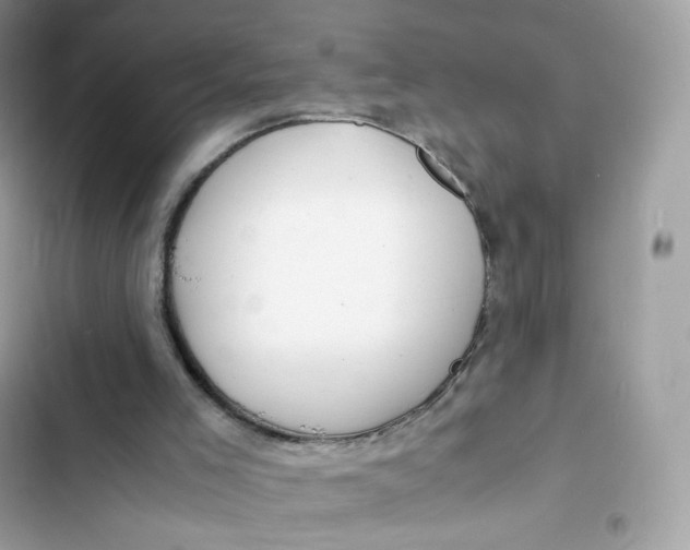 X0000103290005200809191841