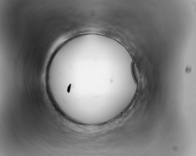 X0000103290006200809191841