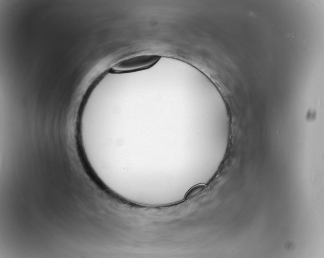 X0000103290007200809191841