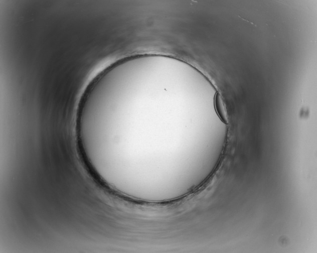 X0000103290008200809191841