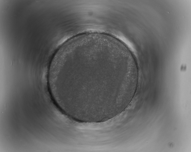 X0000103290009200809191841