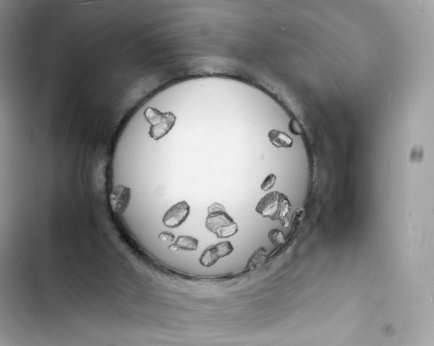 X0000103290010200809191841