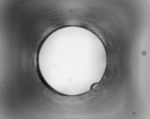 X0000103290011200809191841