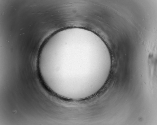 X0000103290012200809191841