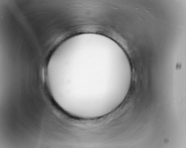 X0000103290013200809191841