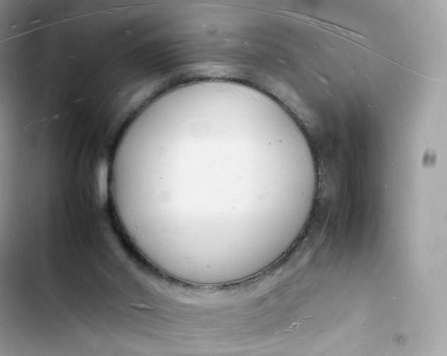 X0000103290014200809191841