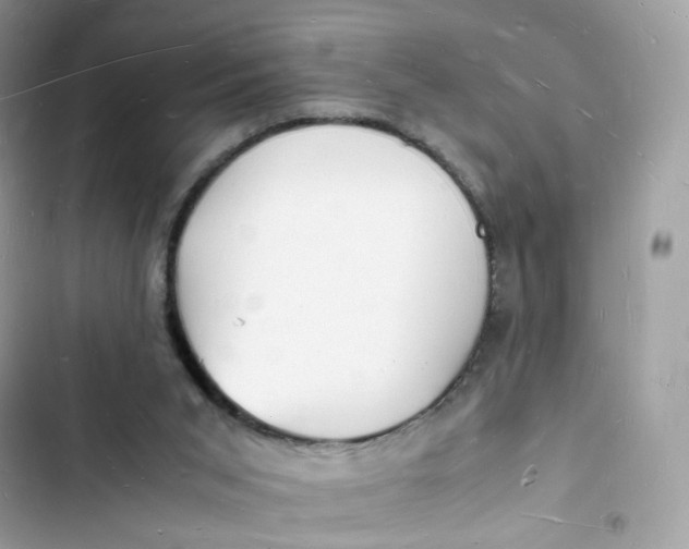 X0000103290015200809191841