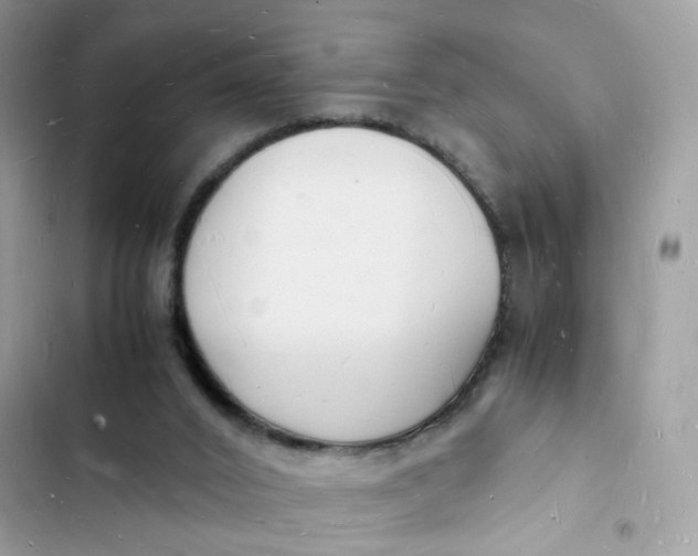 X0000103290016200809191841