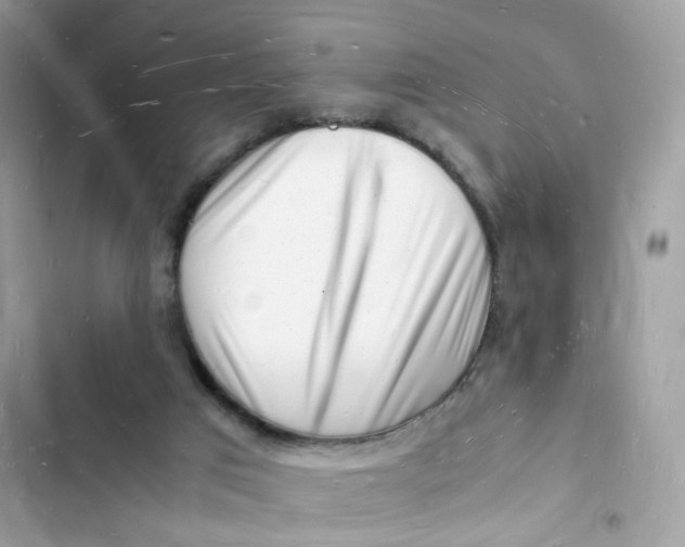 X0000103290017200809191841