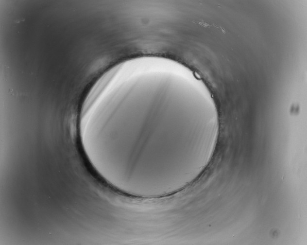 X0000103290019200809191841