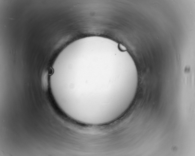 X0000103290020200809191841