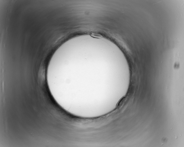 X0000103290021200809191841