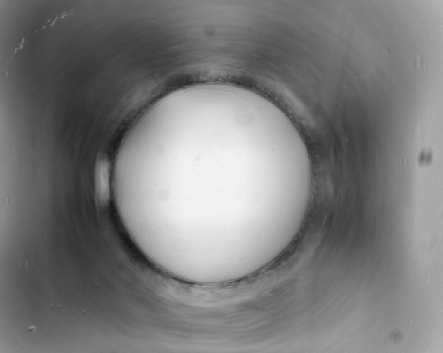 X0000103290022200809191841