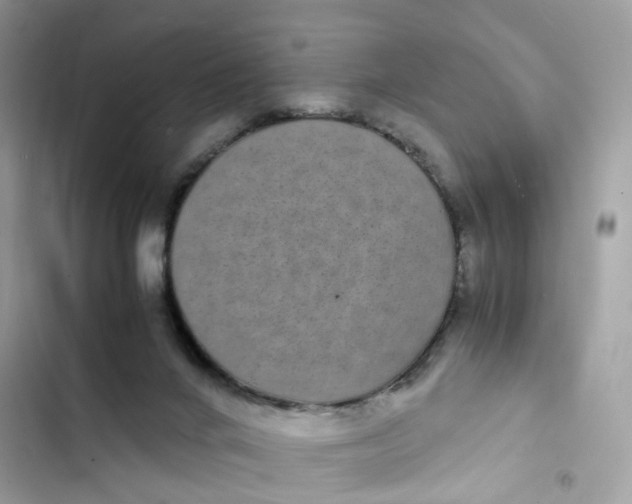 X0000103290024200809191841