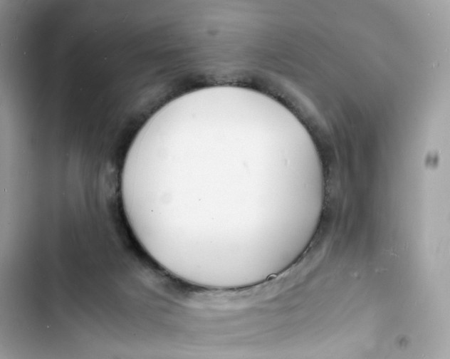 X0000103290025200809191841