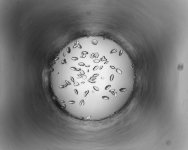 X0000103290026200809191841