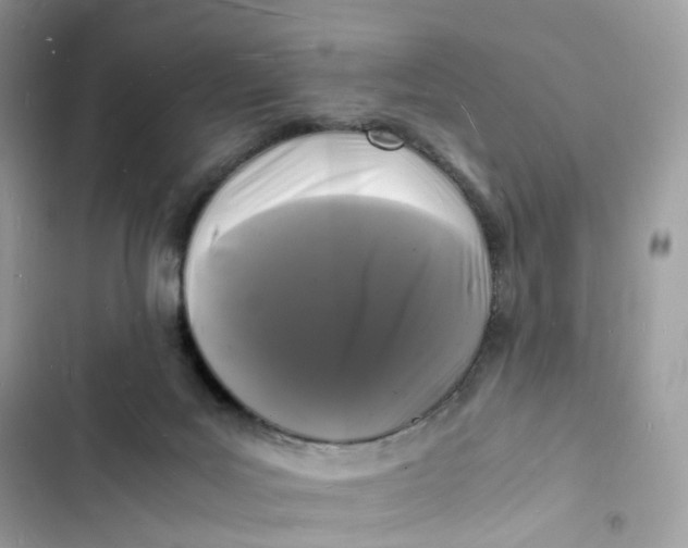 X0000103290027200809191841