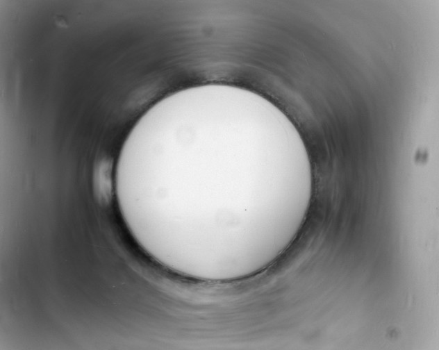 X0000103290028200809191841