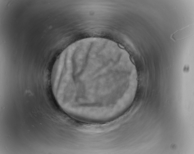 X0000103290029200809191841