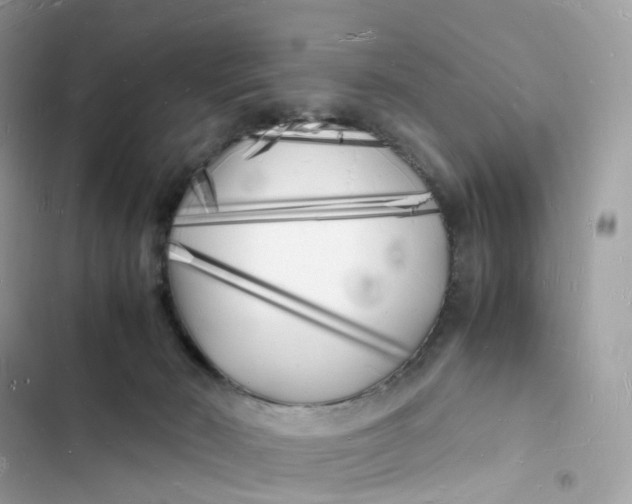 X0000103290030200809191841