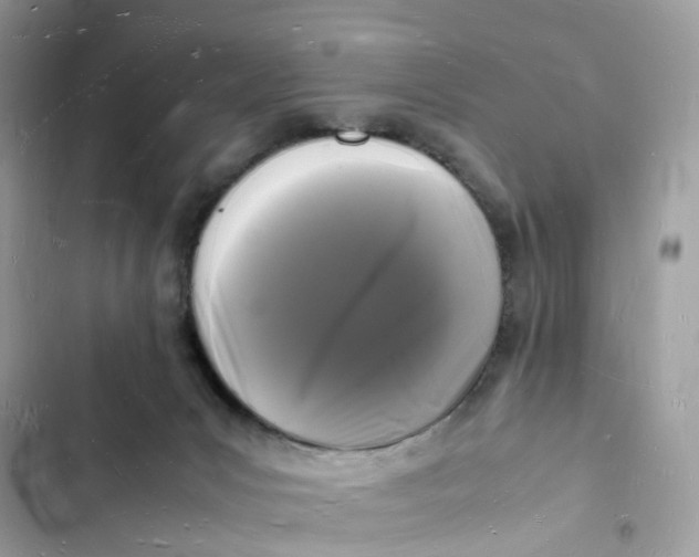 X0000103290031200809191841