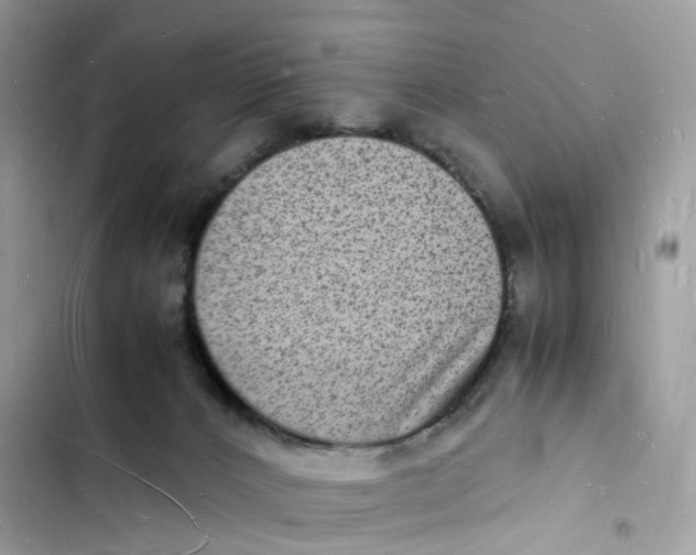 X0000103290032200809191841