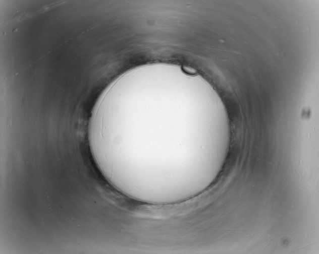 X0000103290033200809191841