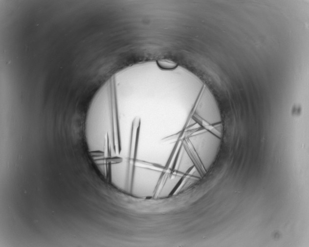 X0000103290034200809191841